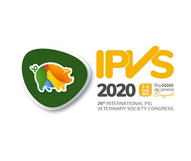 26º IPVS 2020